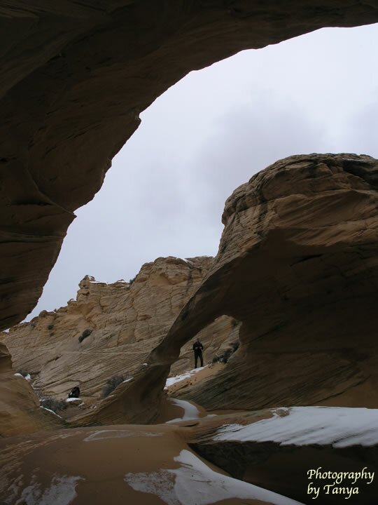 North Coyote Buttes - Wave Photo