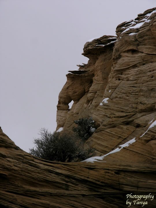 North Coyote Buttes - Melody Arch photo