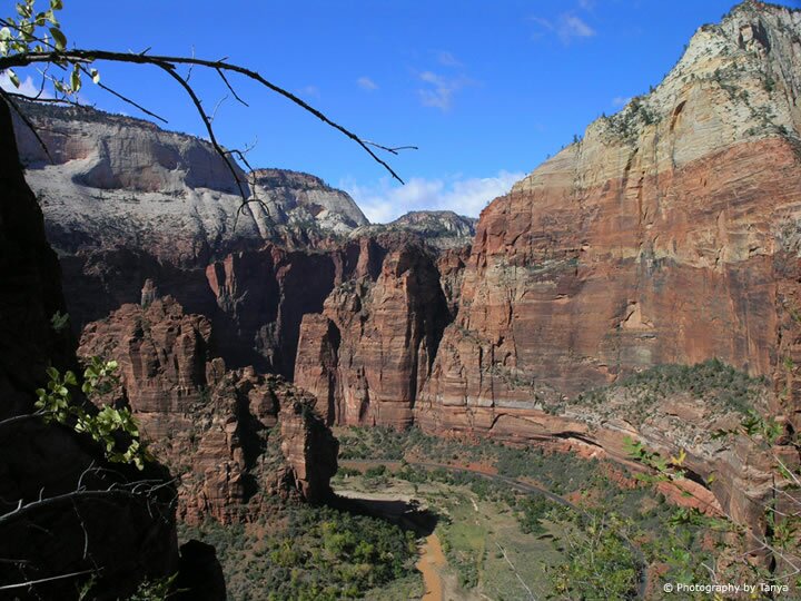 Zion's Big Bend Photo