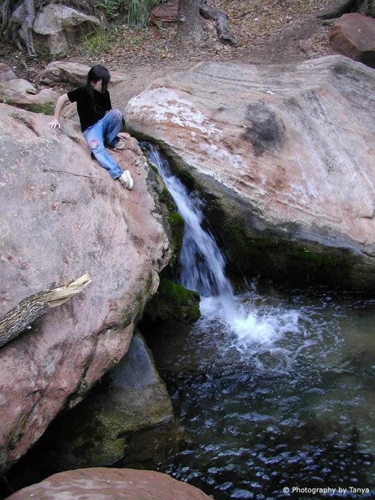 Zion's Weeping Rock photo - Beneath the falls