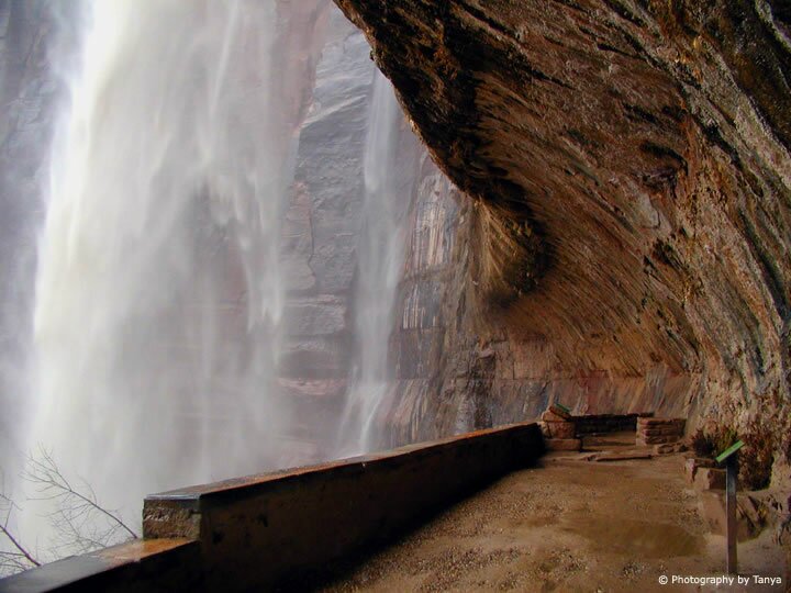 Photo - Weeping Rock in Zion