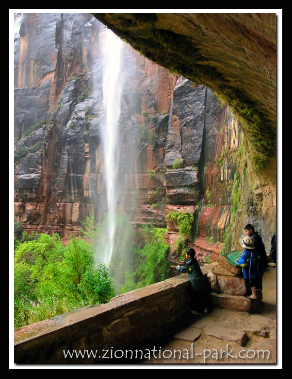 Zion Photo: Weeping Rock