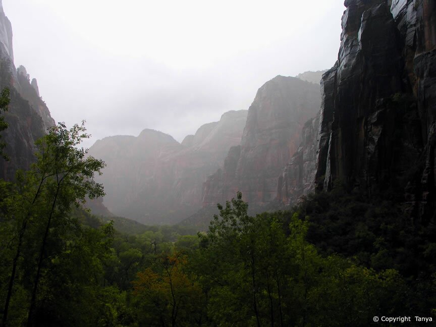 Zion Photo: Weeping Rock