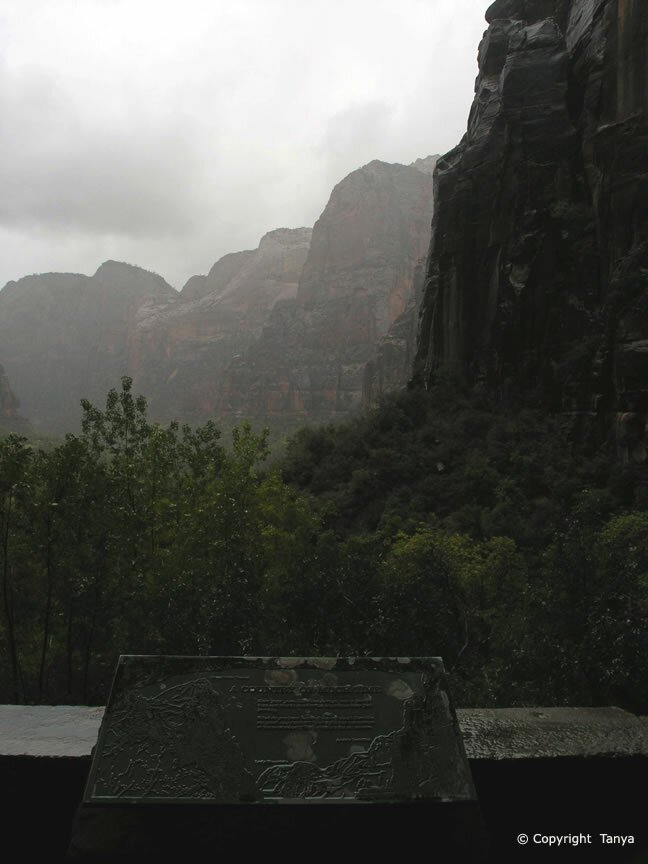 Zion Picture: Weeping Rock