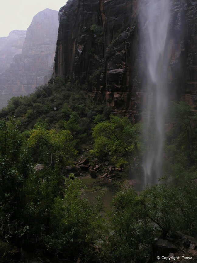Zion Photo: Weeping Rock