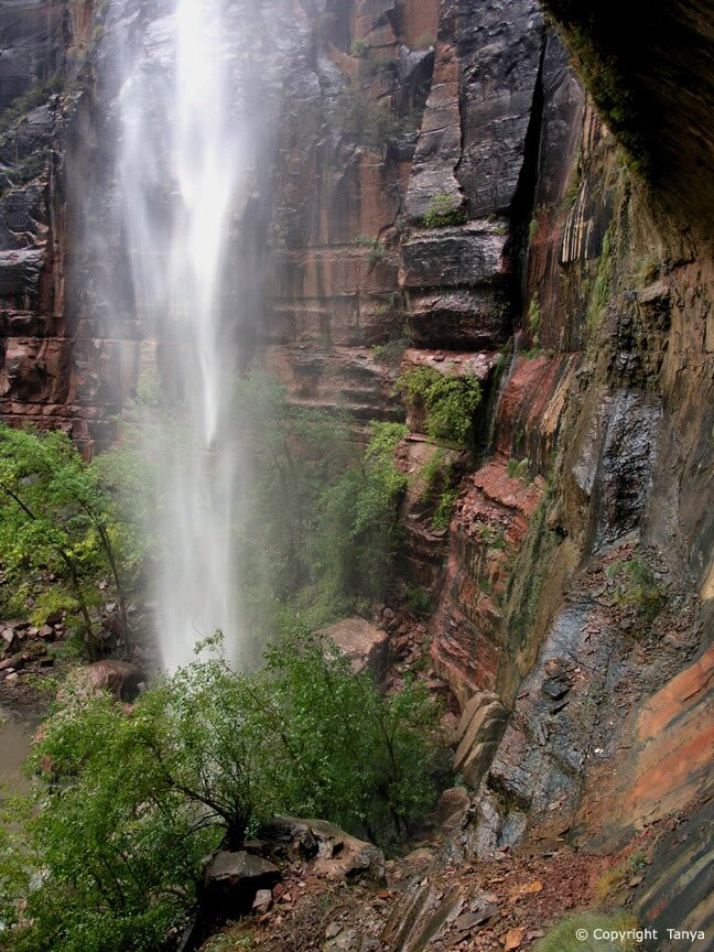 Zion Photo: Weeping Rock