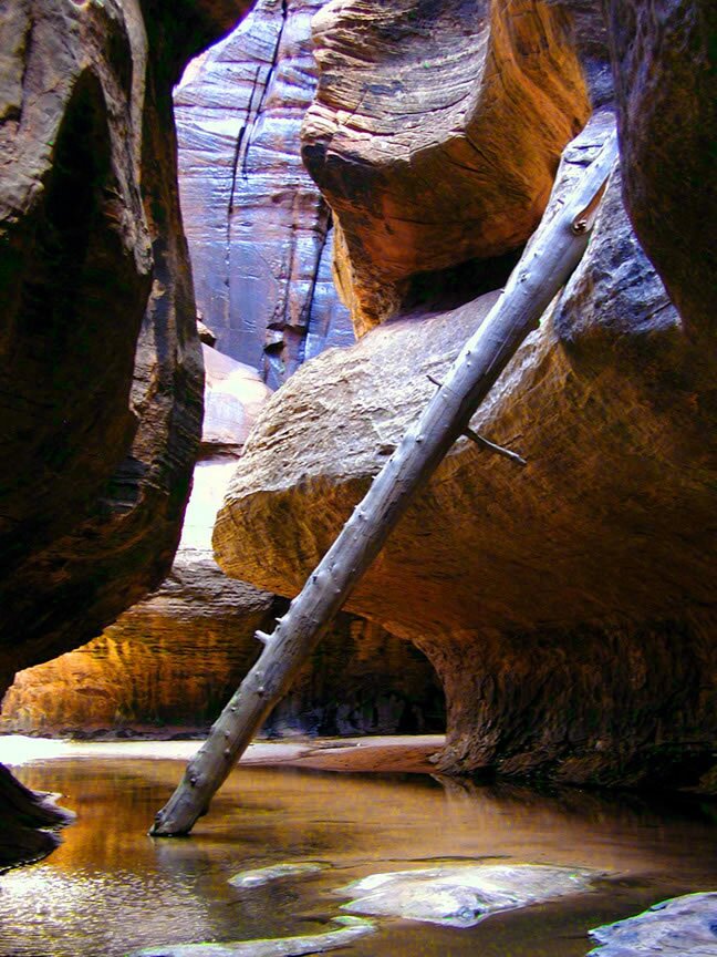 Zion - Subway Photo