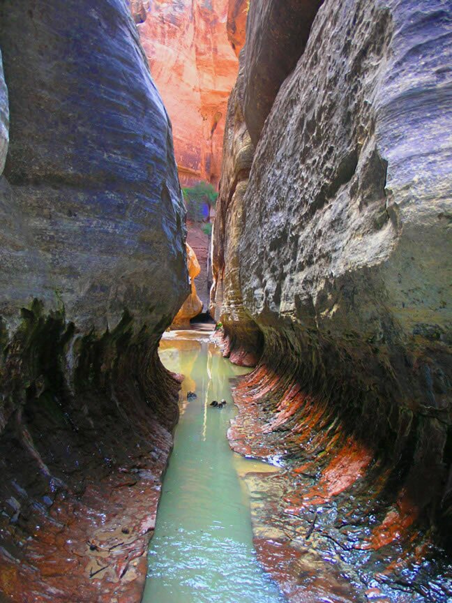Zion - Subway Photo