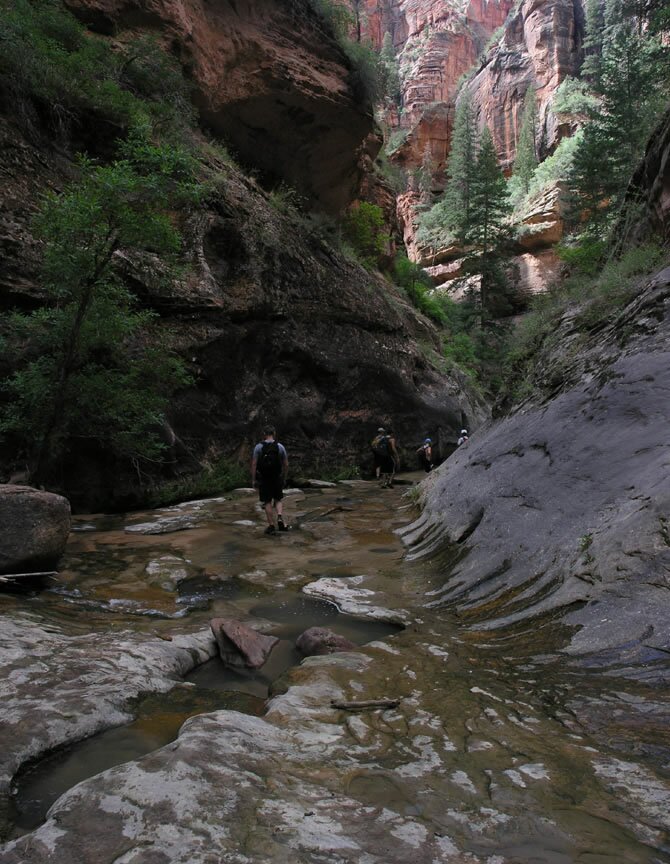 Zion - Subway Photo
