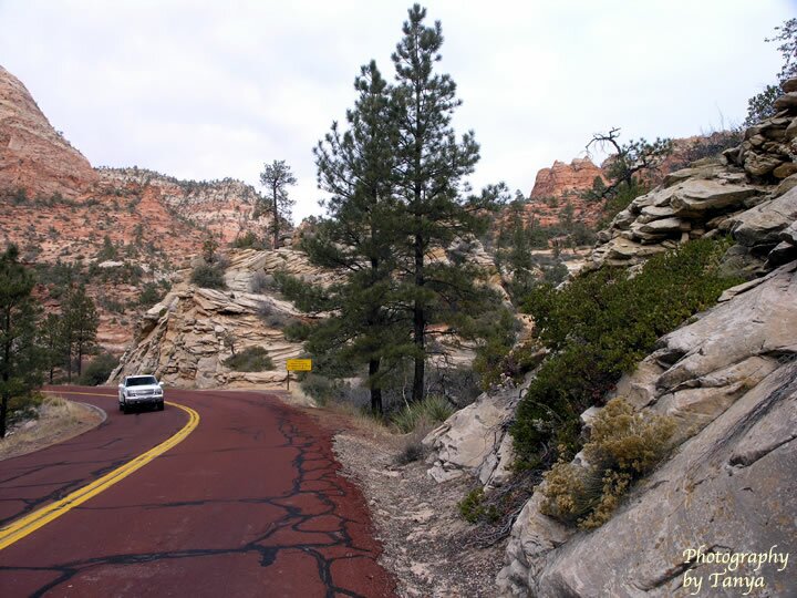 Two Pine Arch Photo
