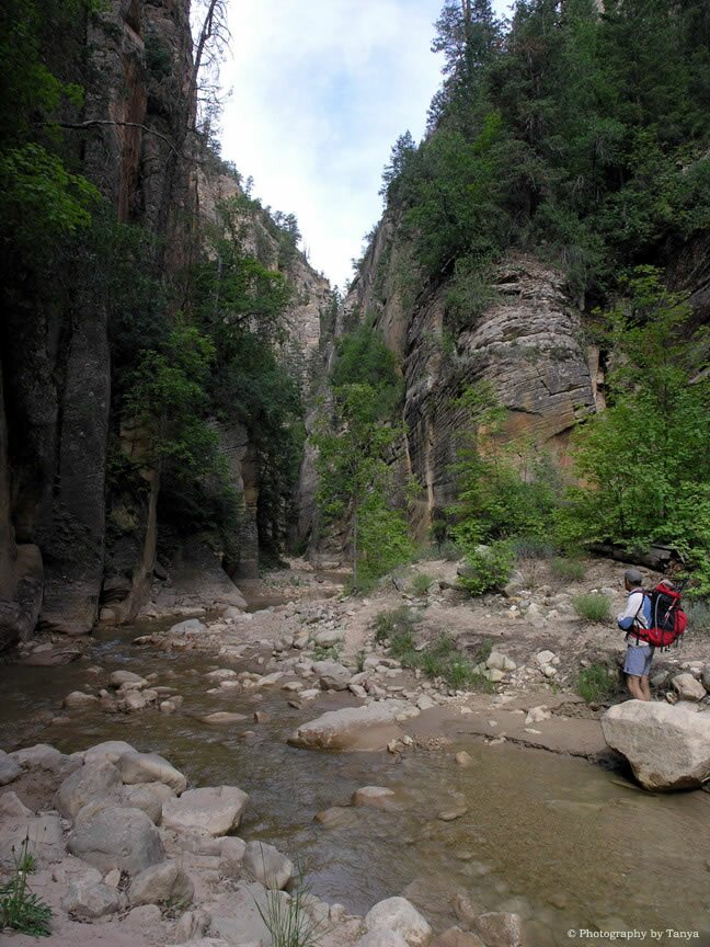 Zion Narrows Picture