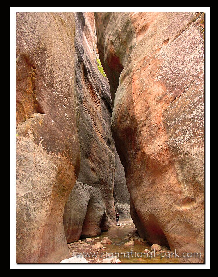 Narrows Zion National Park picture