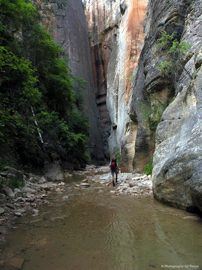 Narrows Zion photo