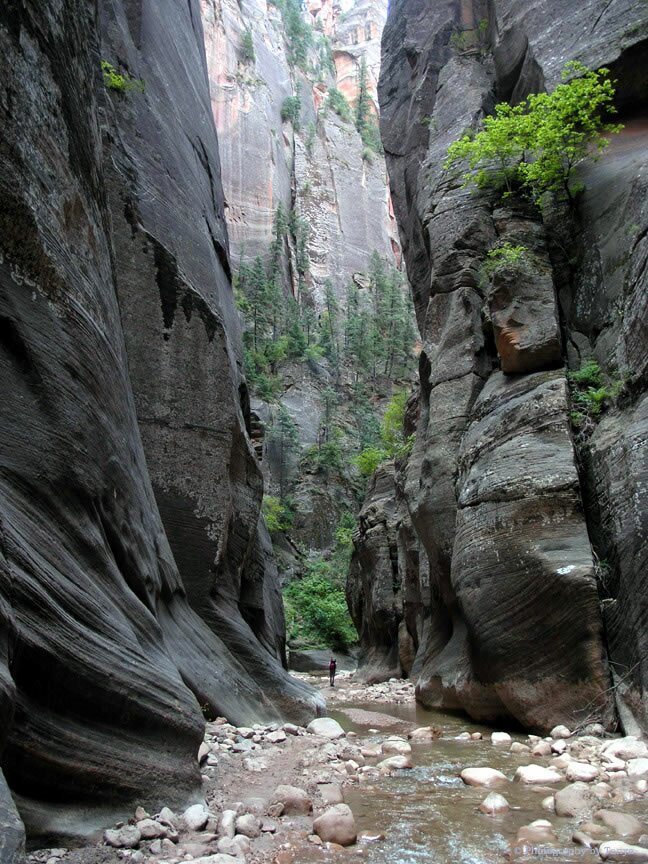 Zion Narrows photo