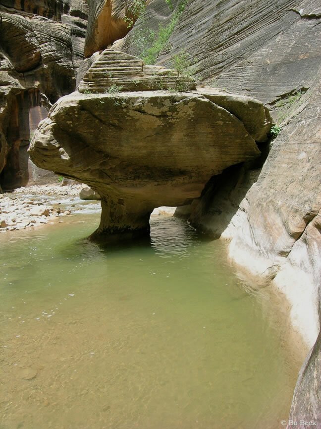 Zion Narrows Photo