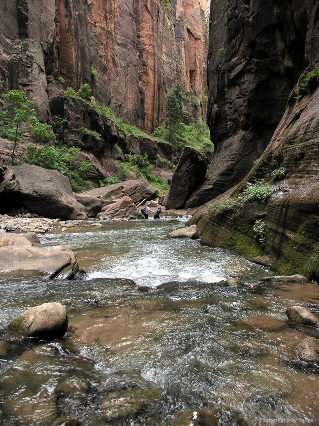 Zion Narrows Photo