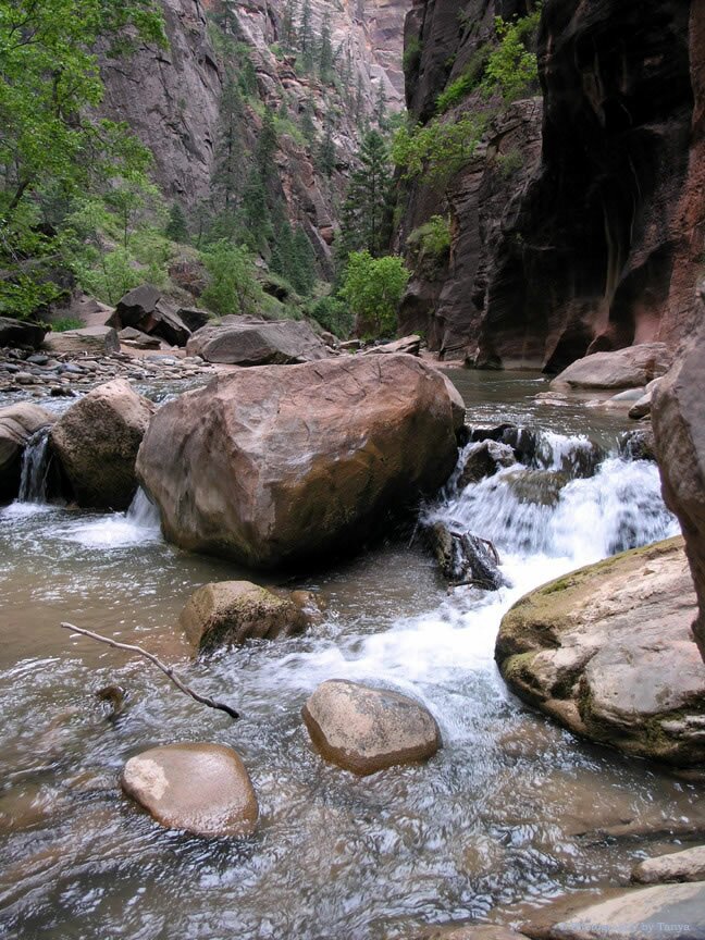 Zion Narrows photo