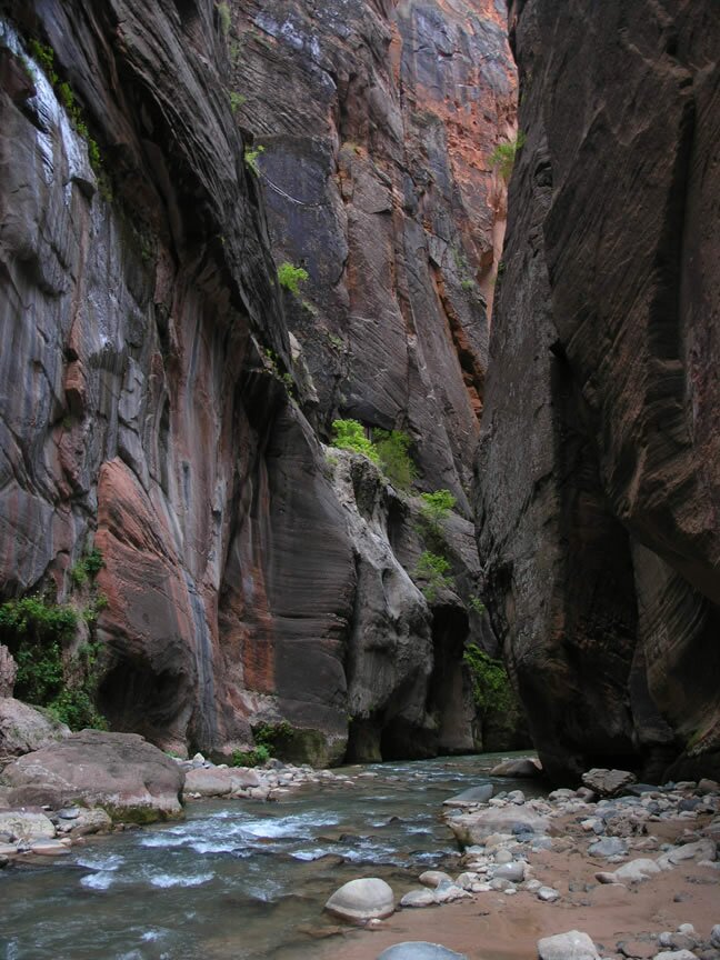 Zion Narrows Photo