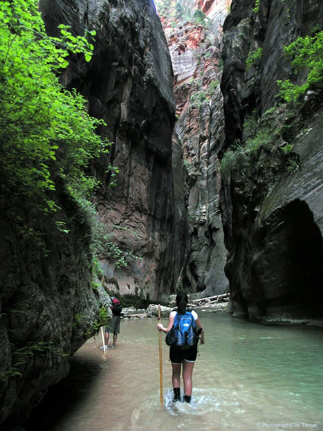 Zion Narrows photo
