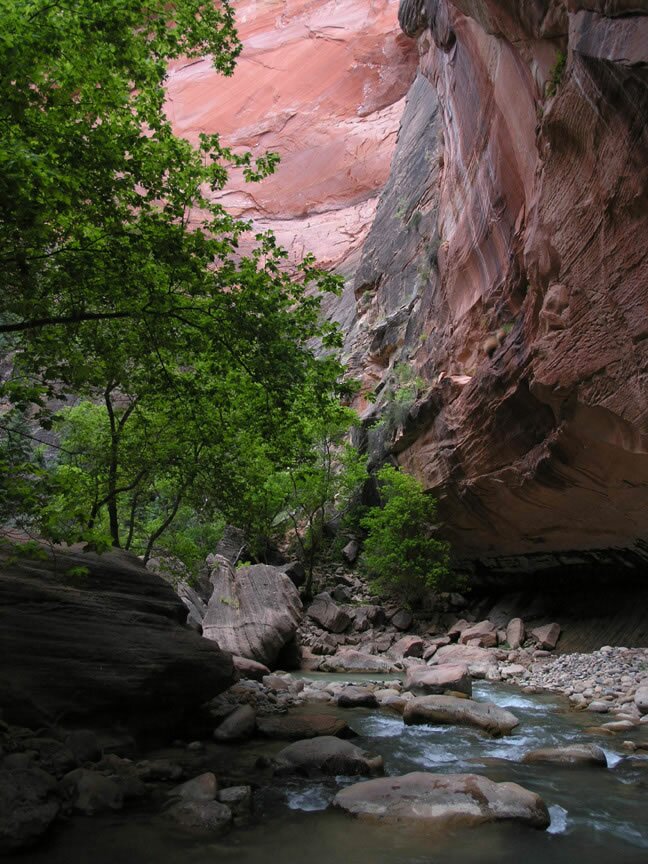 Zion Narrow photo