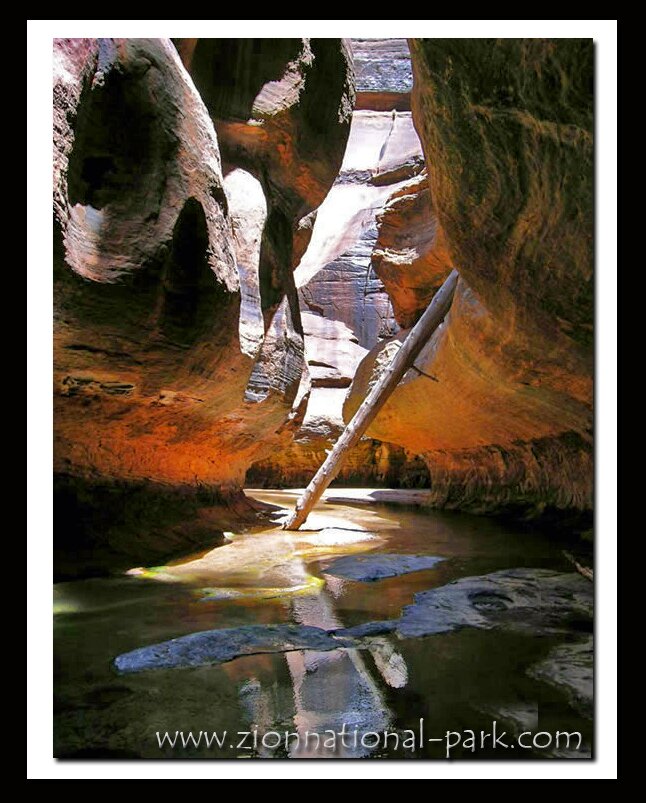 Zion National Park photo