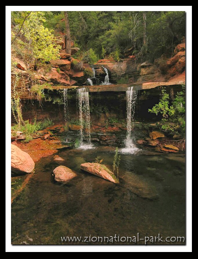 Zion National Park photo - Double Falls
