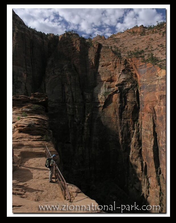 Picture Zion National Park - Canyon Overlook