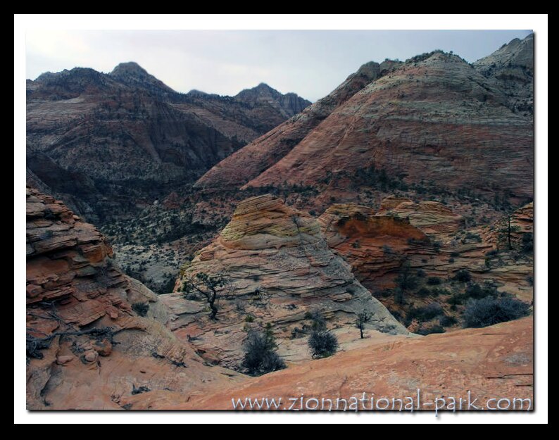 Zion Photograph - East Zion