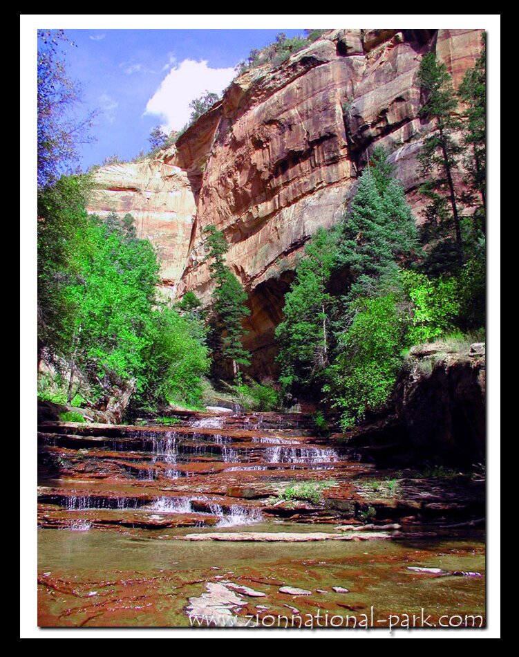 Zion Photo - Left Fork of North Creek
