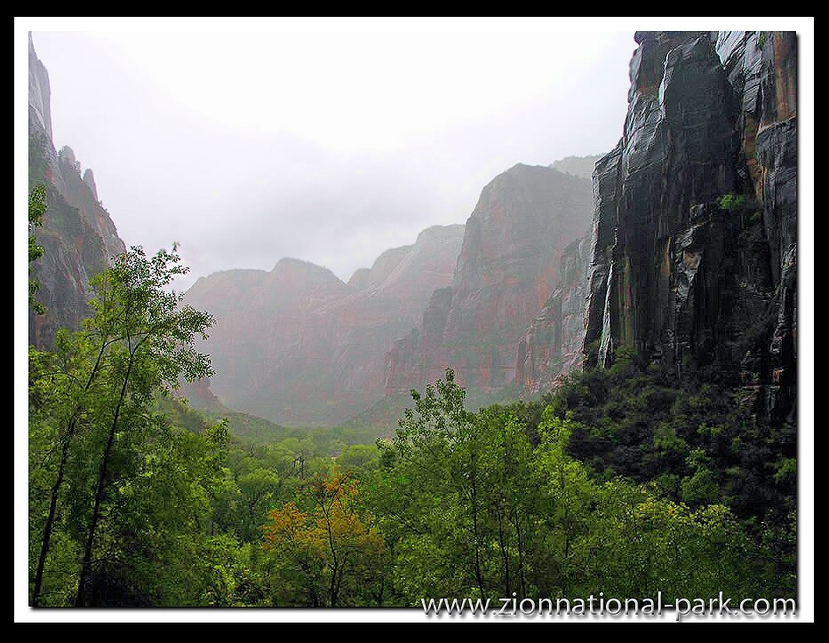 Zion Canyon photo