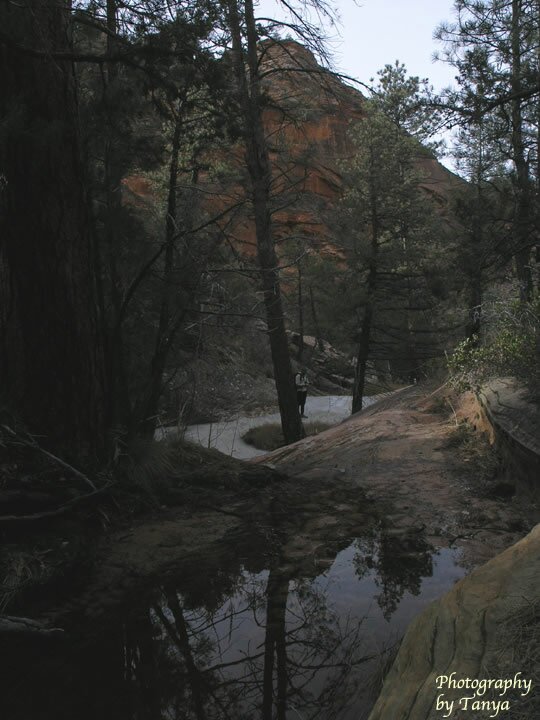 Cockeye Falls