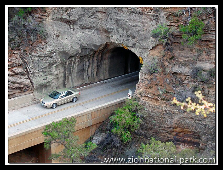 Zion National Park Picture