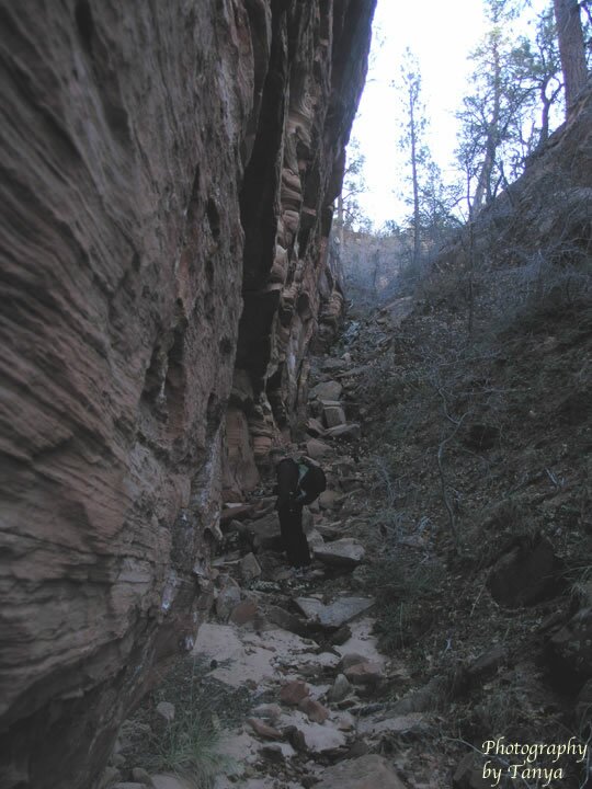 Parunuweap Pass Photo