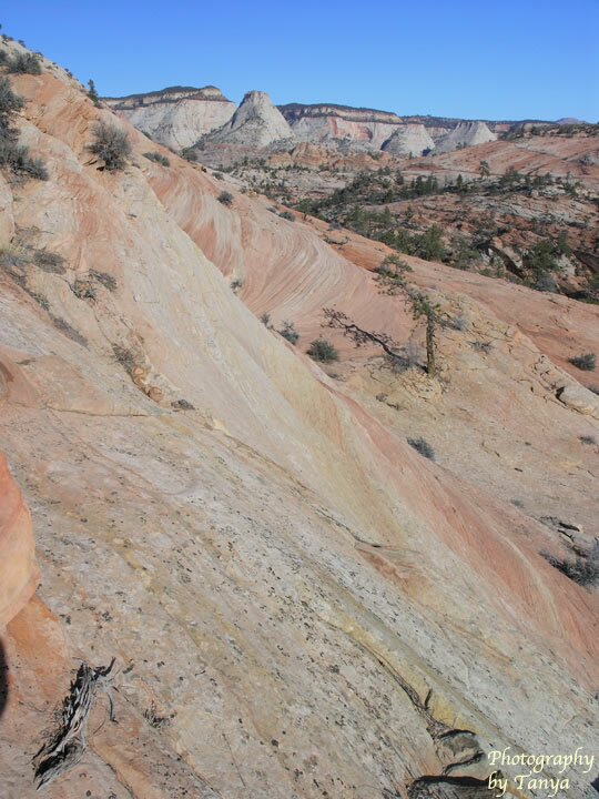 Parunuweap Pass Photo