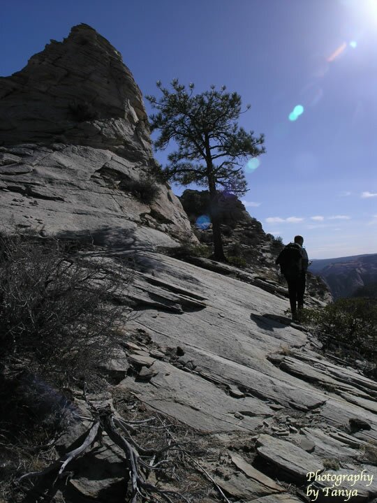 Parunuweap Pass Photo
