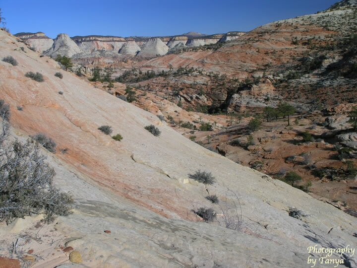 Parunuweap Pass Photo