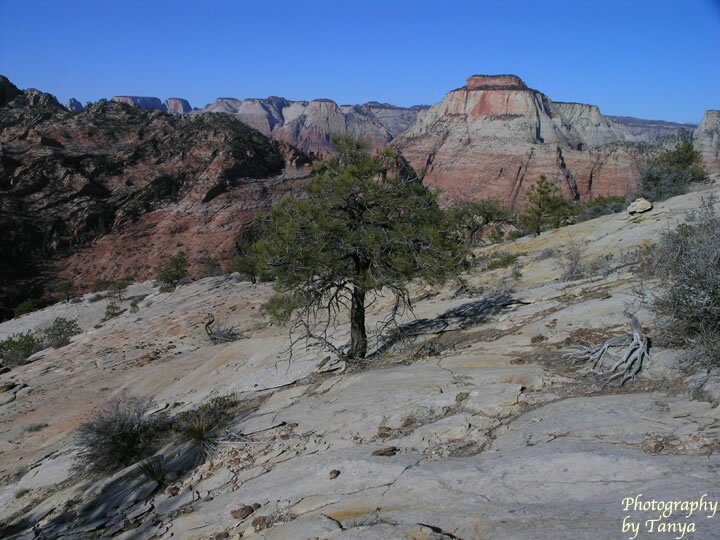 Parunuweap Pass Photo