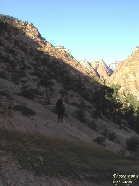 Parunuweap Pass Photo