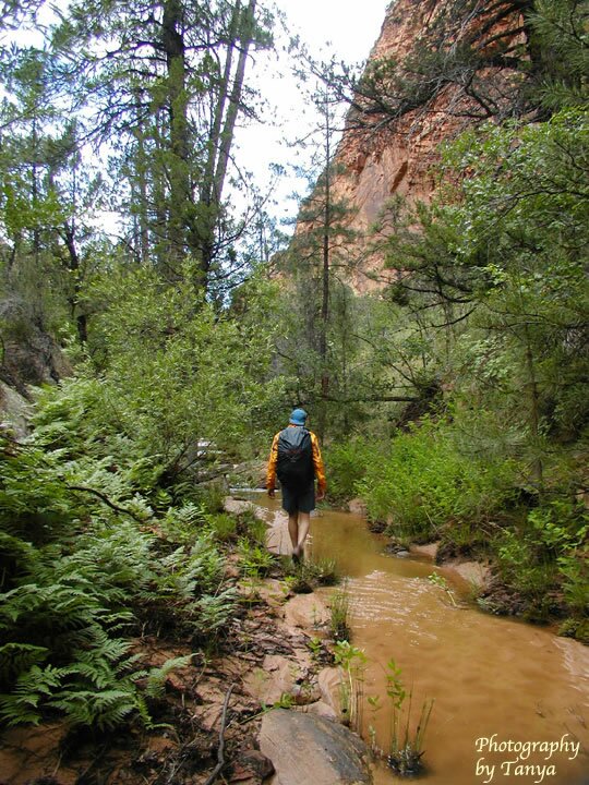 Gifford Canyon Photo