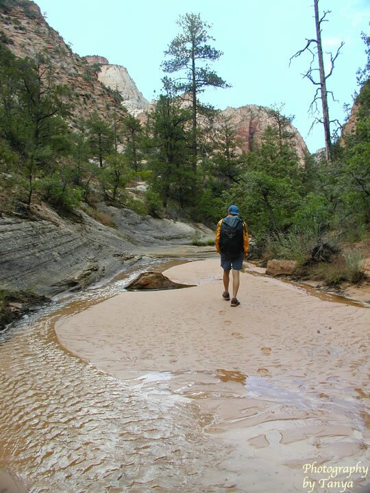 Gifford Canyon Photo