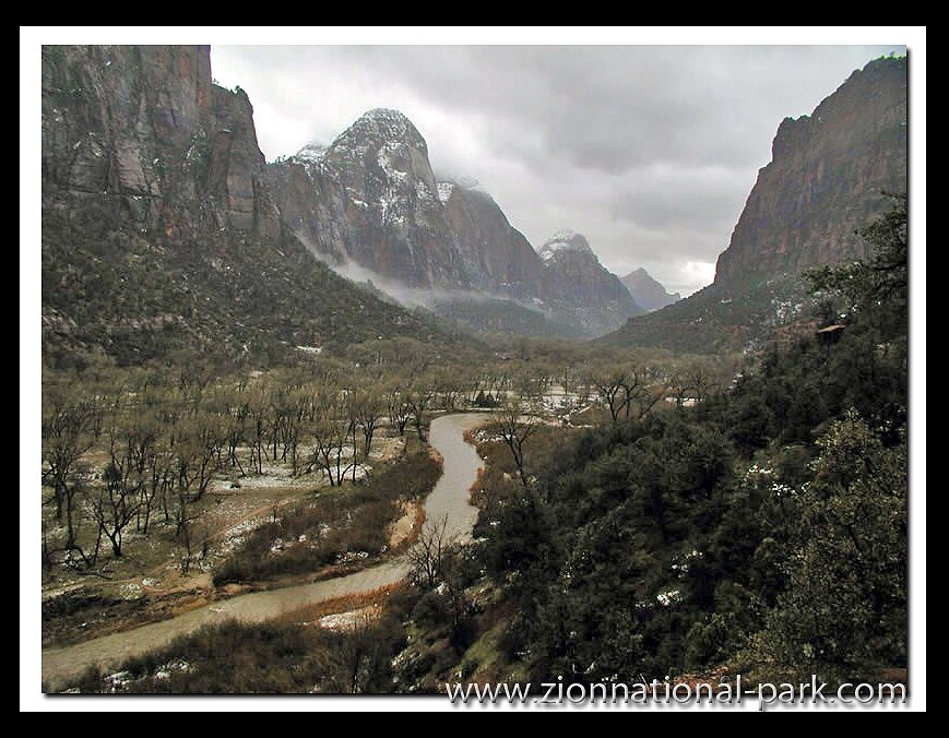 Zion Canyon picture