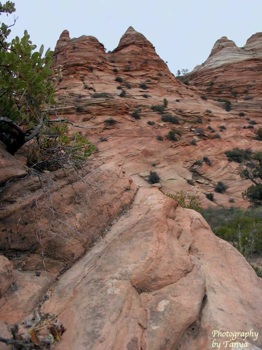 Progeny Peak Photo