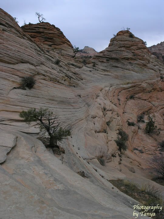 Progeny Peak Photo
