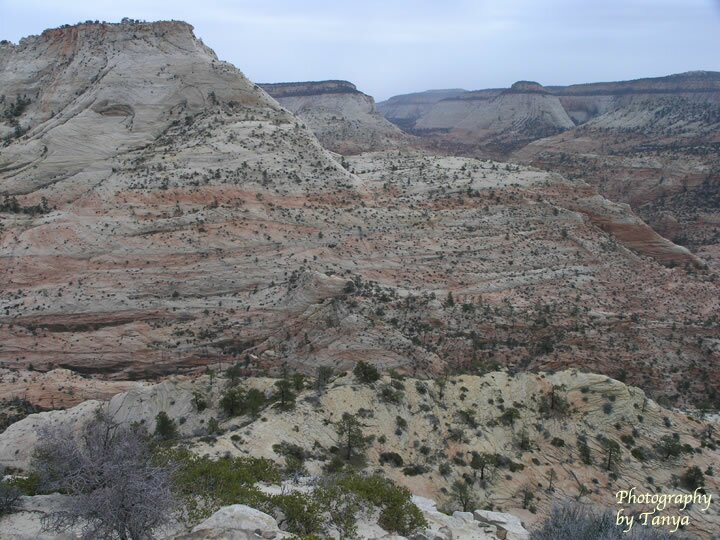 Progeny Peak Photo