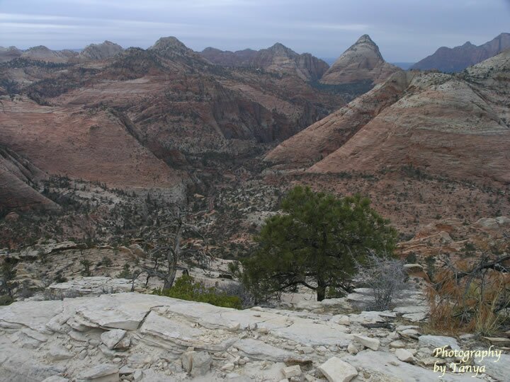 Progeny Peak Photo