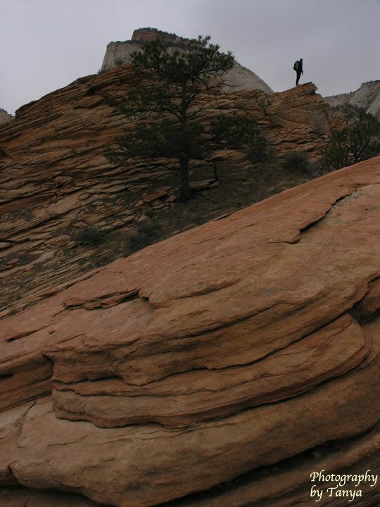 Progeny Peak Picture