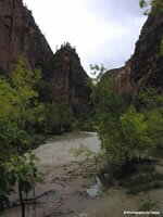 Riverside Walk