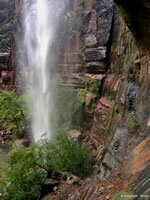 Weeping Rock