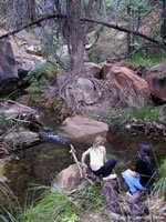 Weeping Rock