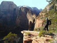 Zion National Park Picture